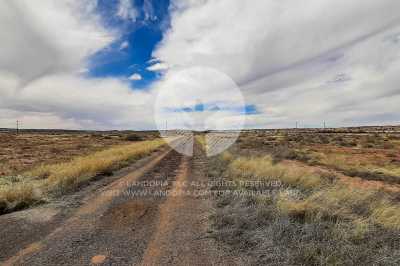 Residential Land For Sale in Sanders, Arizona