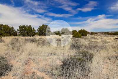 Residential Land For Sale in Sanders, Arizona