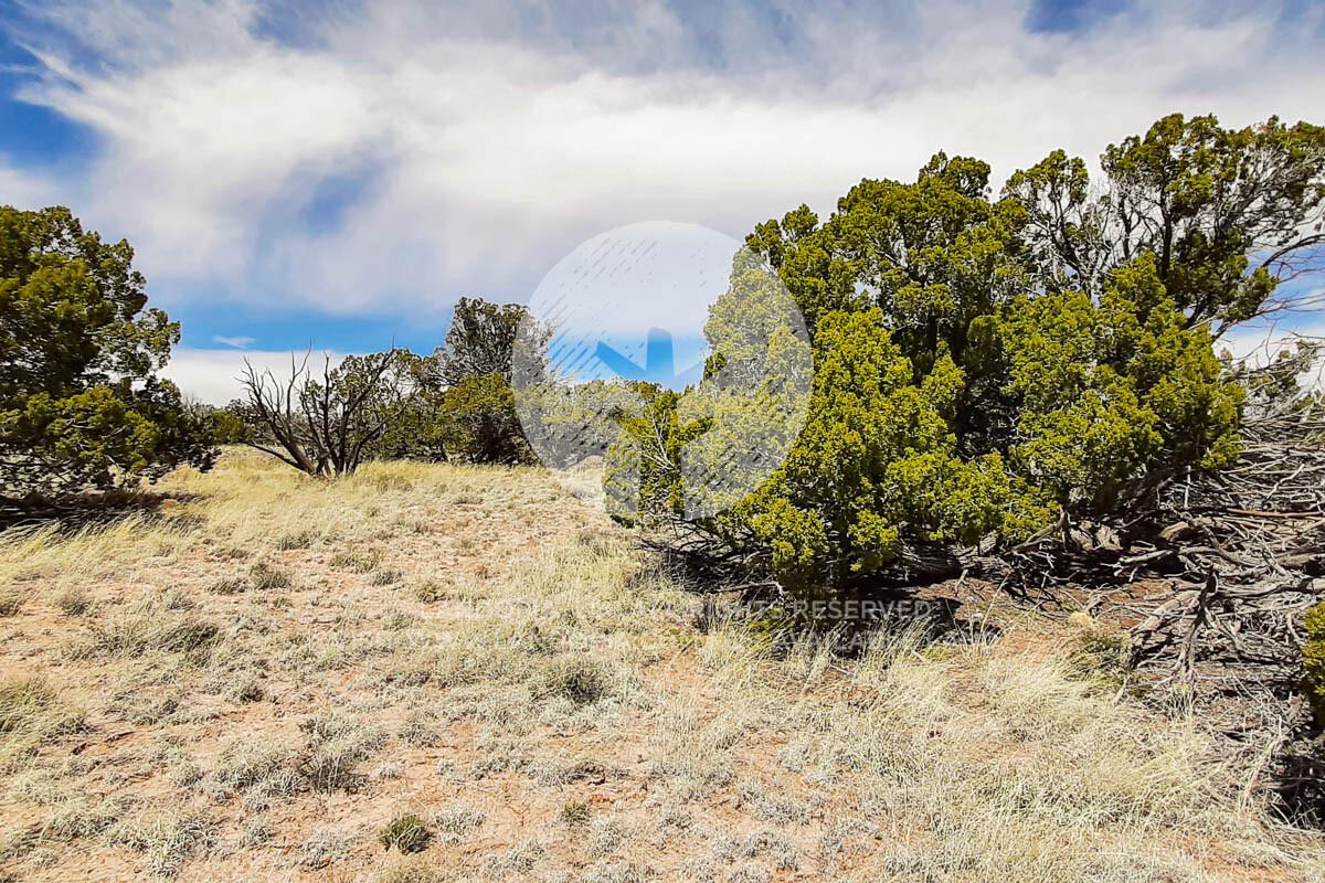 Picture of Residential Land For Sale in Saint Johns, Arizona, United States