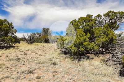 Residential Land For Sale in Saint Johns, Arizona