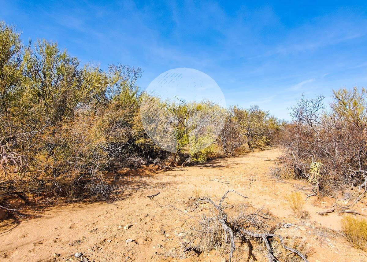Picture of Residential Land For Sale in Tucson, Arizona, United States