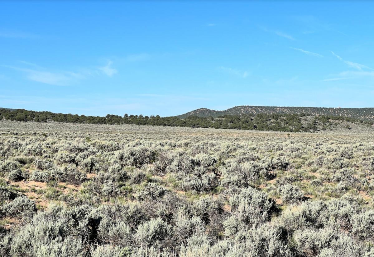 Picture of Residential Land For Sale in Fort Garland, Colorado, United States