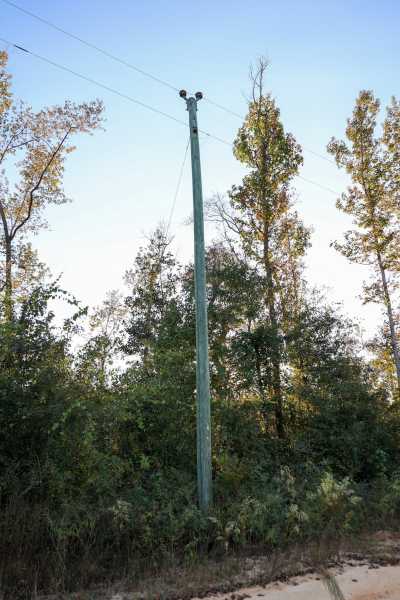 Residential Land For Sale in Marianna, Florida