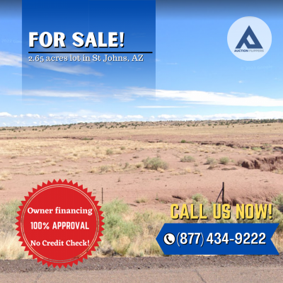Residential Land For Sale in Saint Johns, Arizona