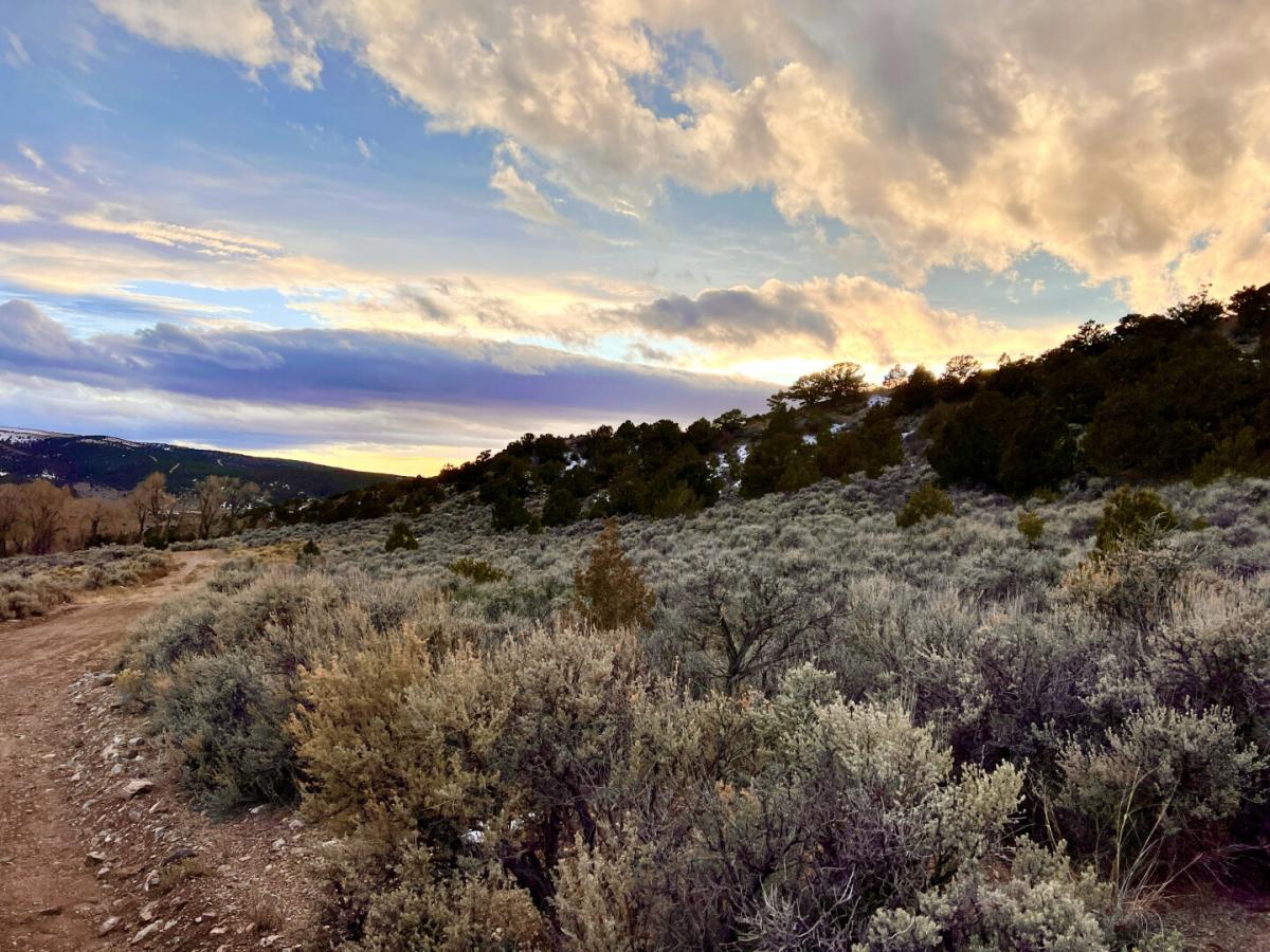 Picture of Residential Land For Sale in Fort Garland, Colorado, United States