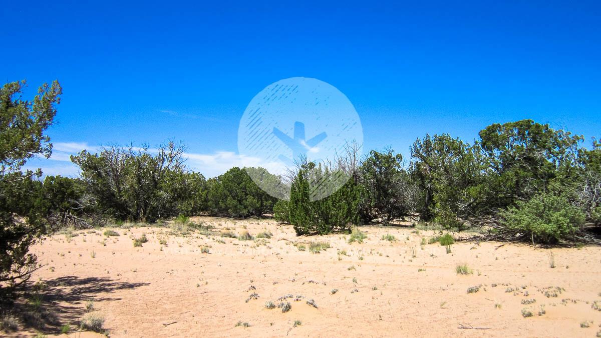 Picture of Residential Land For Sale in Saint Johns, Arizona, United States