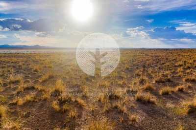 Residential Land For Sale in Salt Flat, Texas