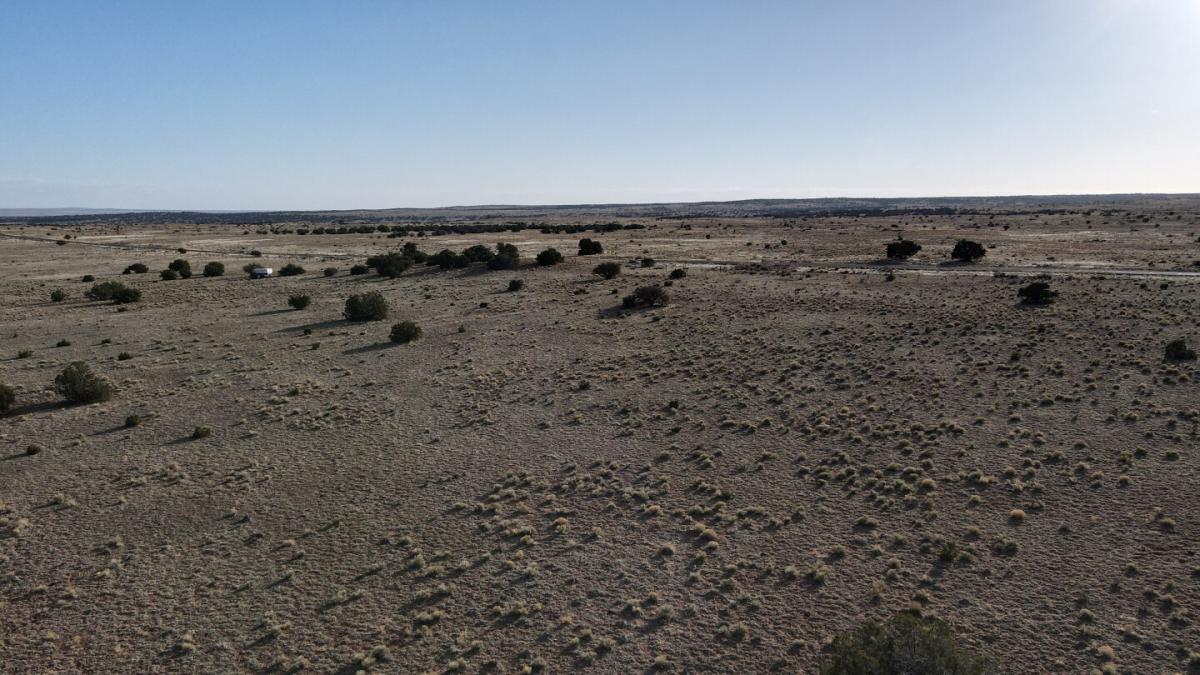 Picture of Residential Land For Sale in Sanders, Arizona, United States