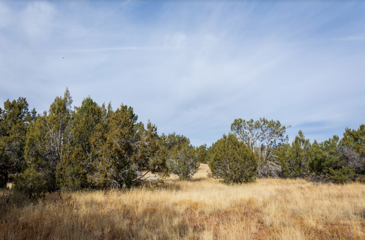 Picture of Residential Land For Sale in Seligman, Arizona, United States
