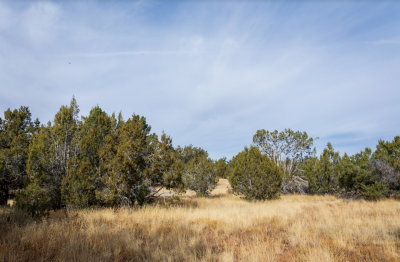Residential Land For Sale in Seligman, Arizona