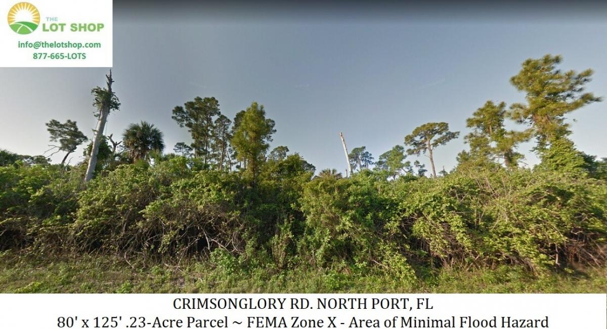 Picture of Residential Land For Sale in Arcadia, Florida, United States