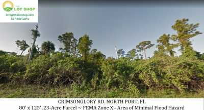 Residential Land For Sale in Arcadia, Florida