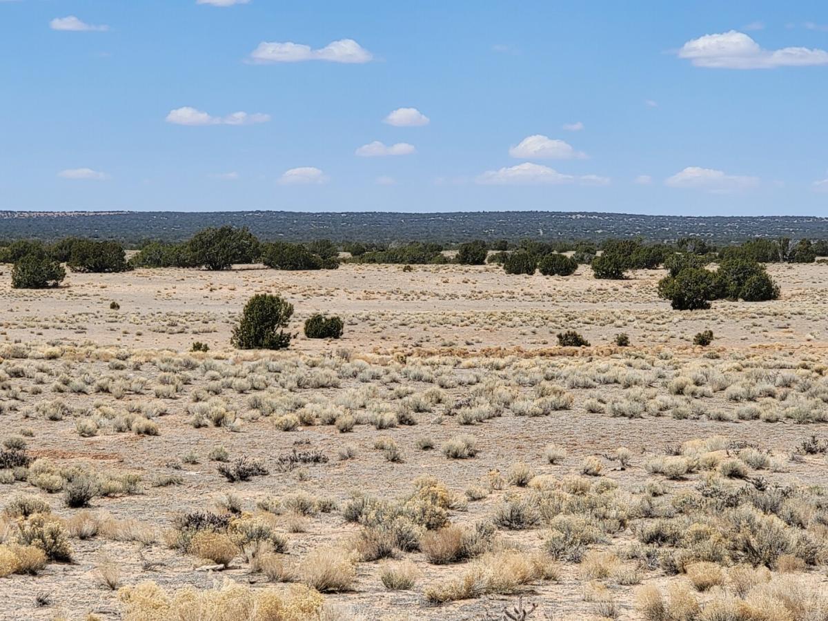 Picture of Residential Land For Sale in Saint Johns, Arizona, United States