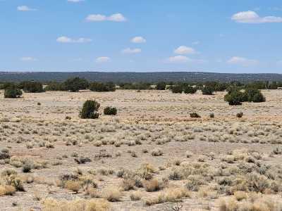 Residential Land For Sale in Saint Johns, Arizona