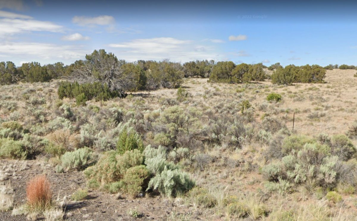 Picture of Residential Land For Sale in Saint Johns, Arizona, United States