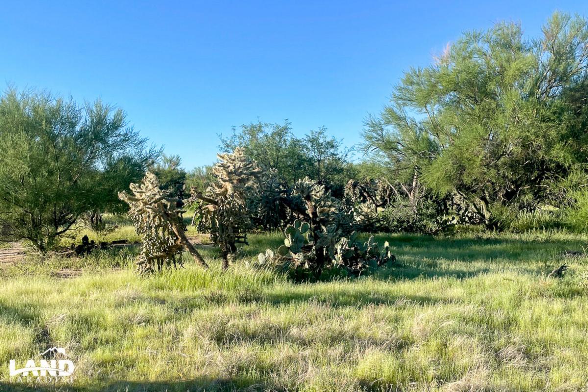 Picture of Residential Land For Sale in Tucson, Arizona, United States