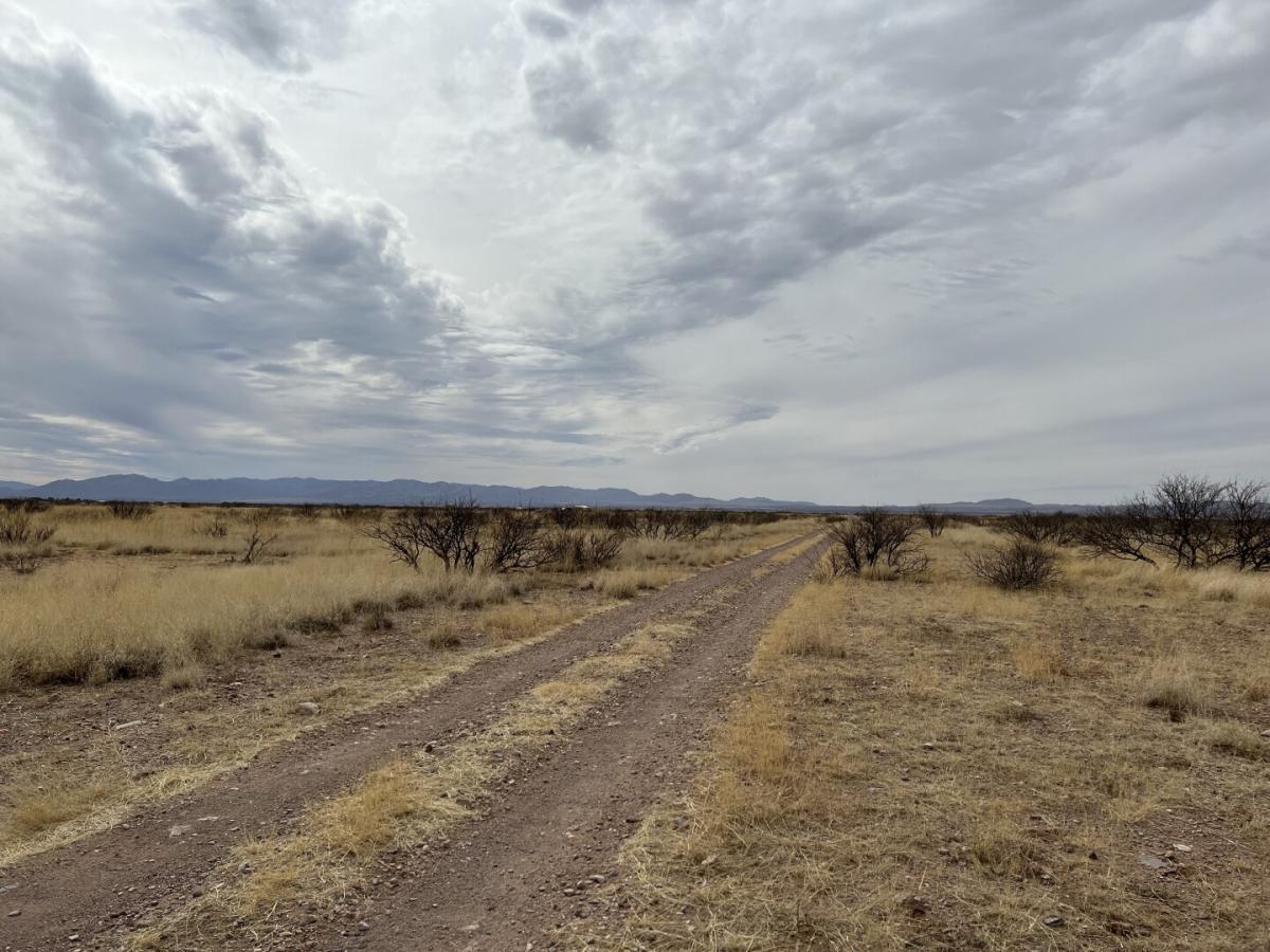 Picture of Residential Land For Sale in McNeal, Arizona, United States