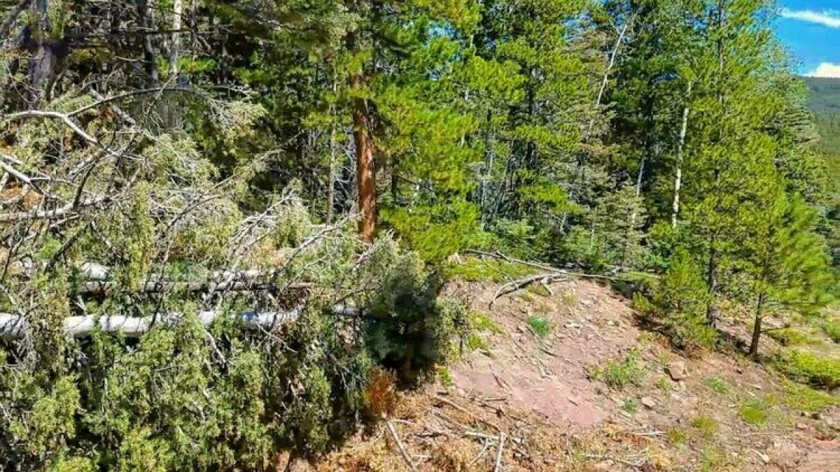 Picture of Residential Land For Sale in Fort Garland, Colorado, United States