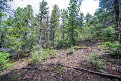 Residential Land For Sale in Fort Garland, Colorado