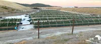 Residential Land For Sale in Paso Robles, California