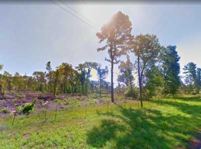 Residential Land For Sale in Avinger, Texas