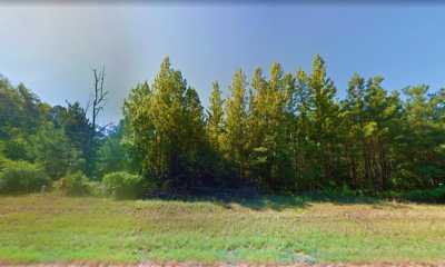 Residential Land For Sale in Avinger, Texas