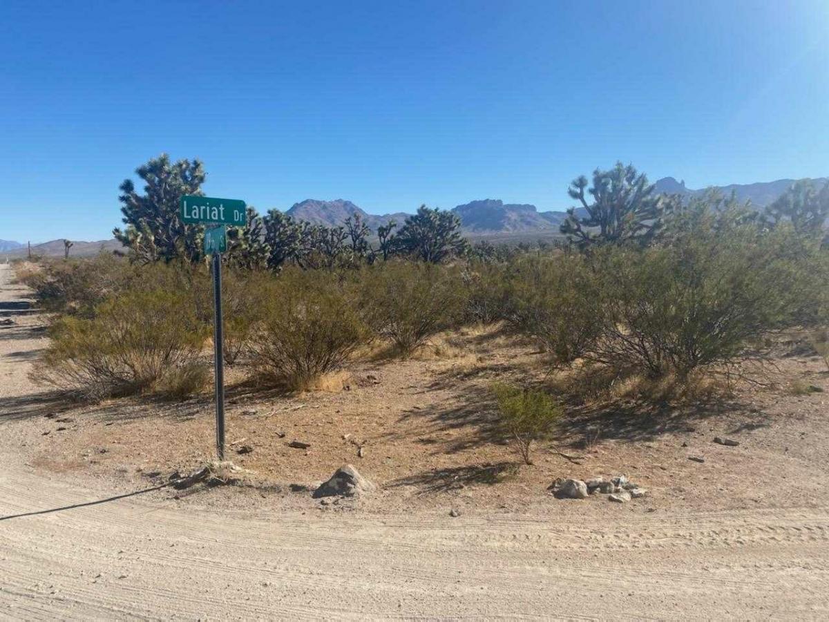 Picture of Residential Land For Sale in Dolan Springs, Arizona, United States