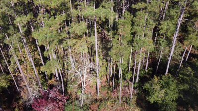 Residential Land For Sale in Bolivia, North Carolina