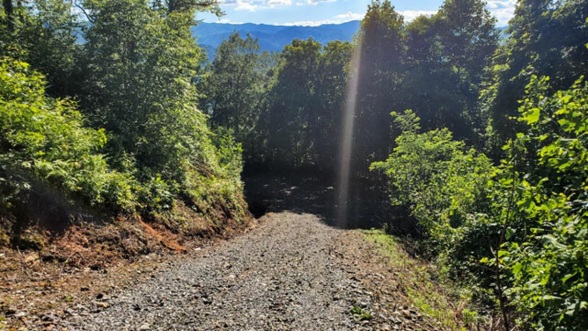 Picture of Residential Land For Sale in Sylva, North Carolina, United States