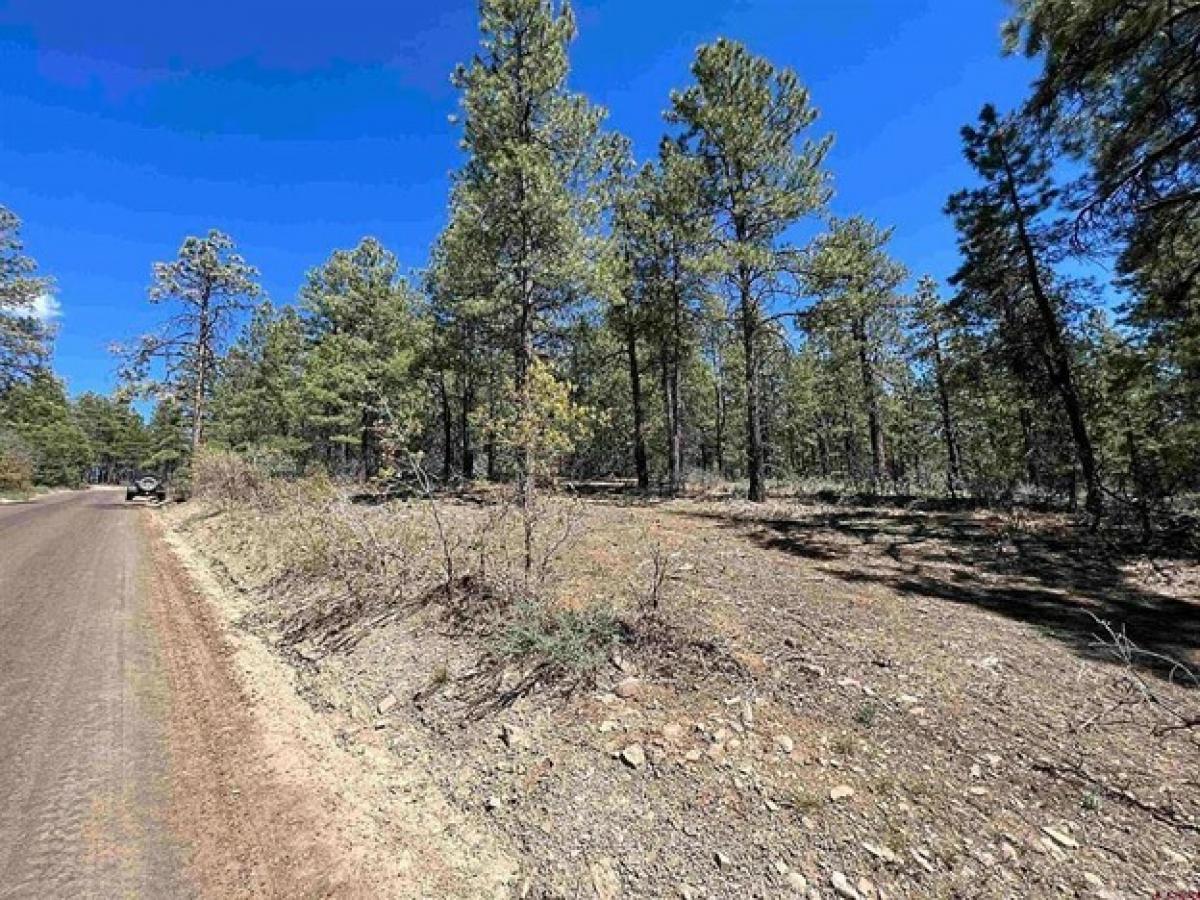 Picture of Residential Land For Sale in Pagosa Springs, Colorado, United States