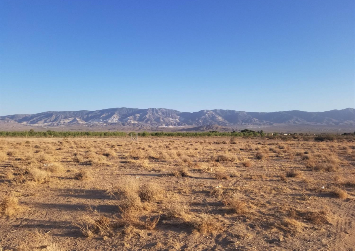 Picture of Residential Land For Sale in Lucerne Valley, California, United States