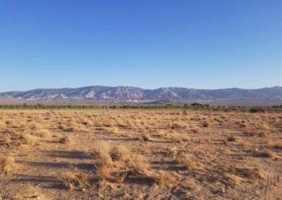 Residential Land For Sale in Lucerne Valley, California
