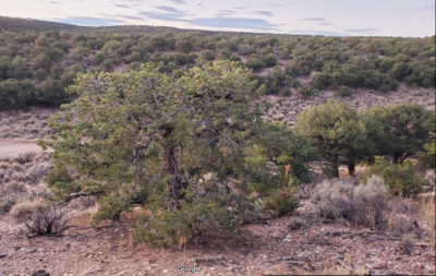 Residential Land For Sale in Fort Garland, Colorado