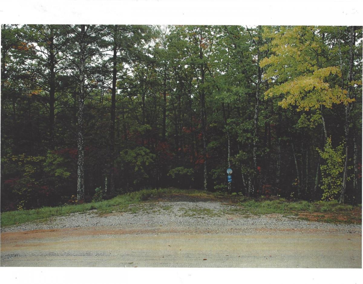Picture of Residential Land For Sale in Marion, North Carolina, United States