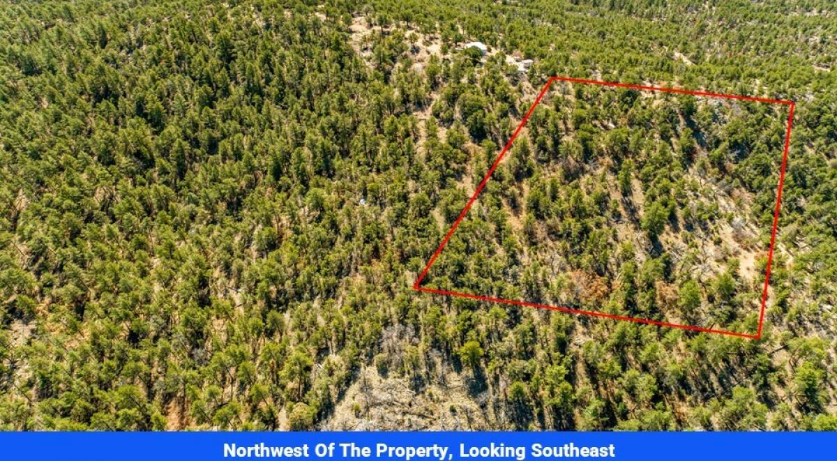 Picture of Residential Land For Sale in Cotopaxi, Colorado, United States