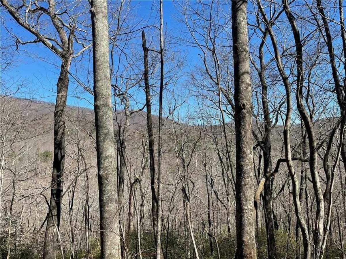 Picture of Residential Land For Sale in Jasper, Georgia, United States