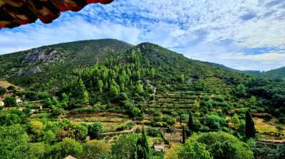 Home For Sale in Roquebrun, France