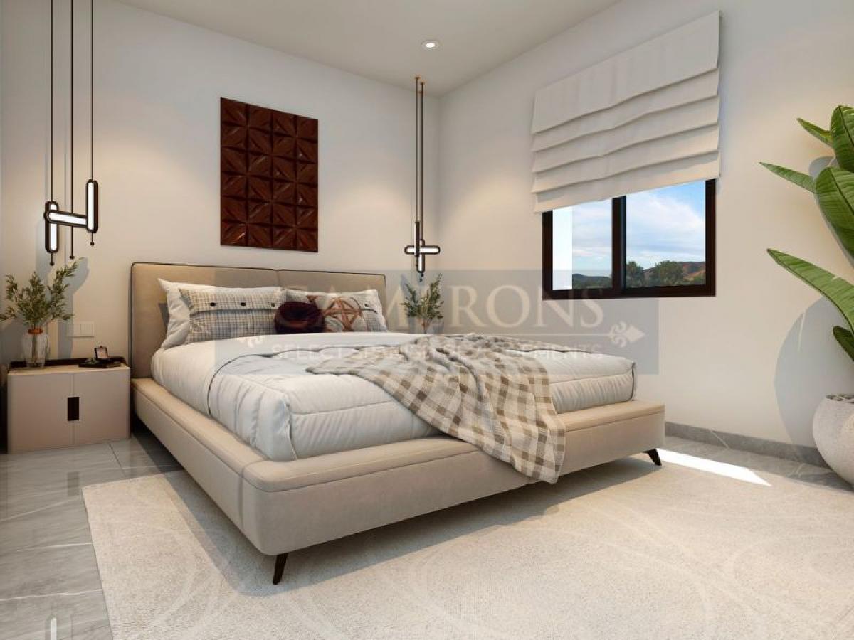 Picture of Villa For Sale in La Marina, Alicante, Spain