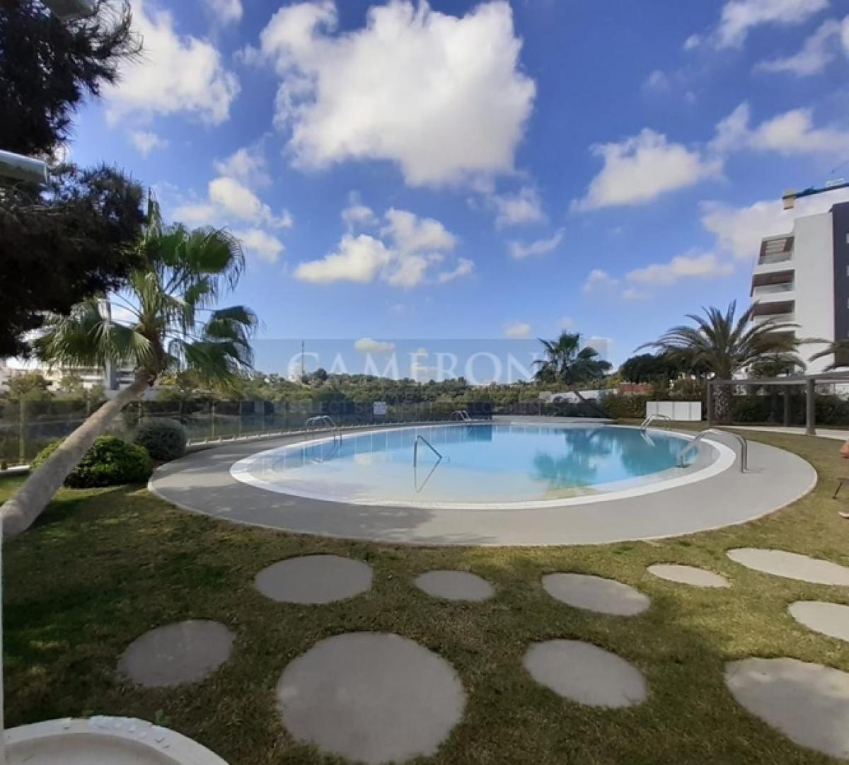 Picture of Apartment For Sale in Villamartin, Alicante, Spain