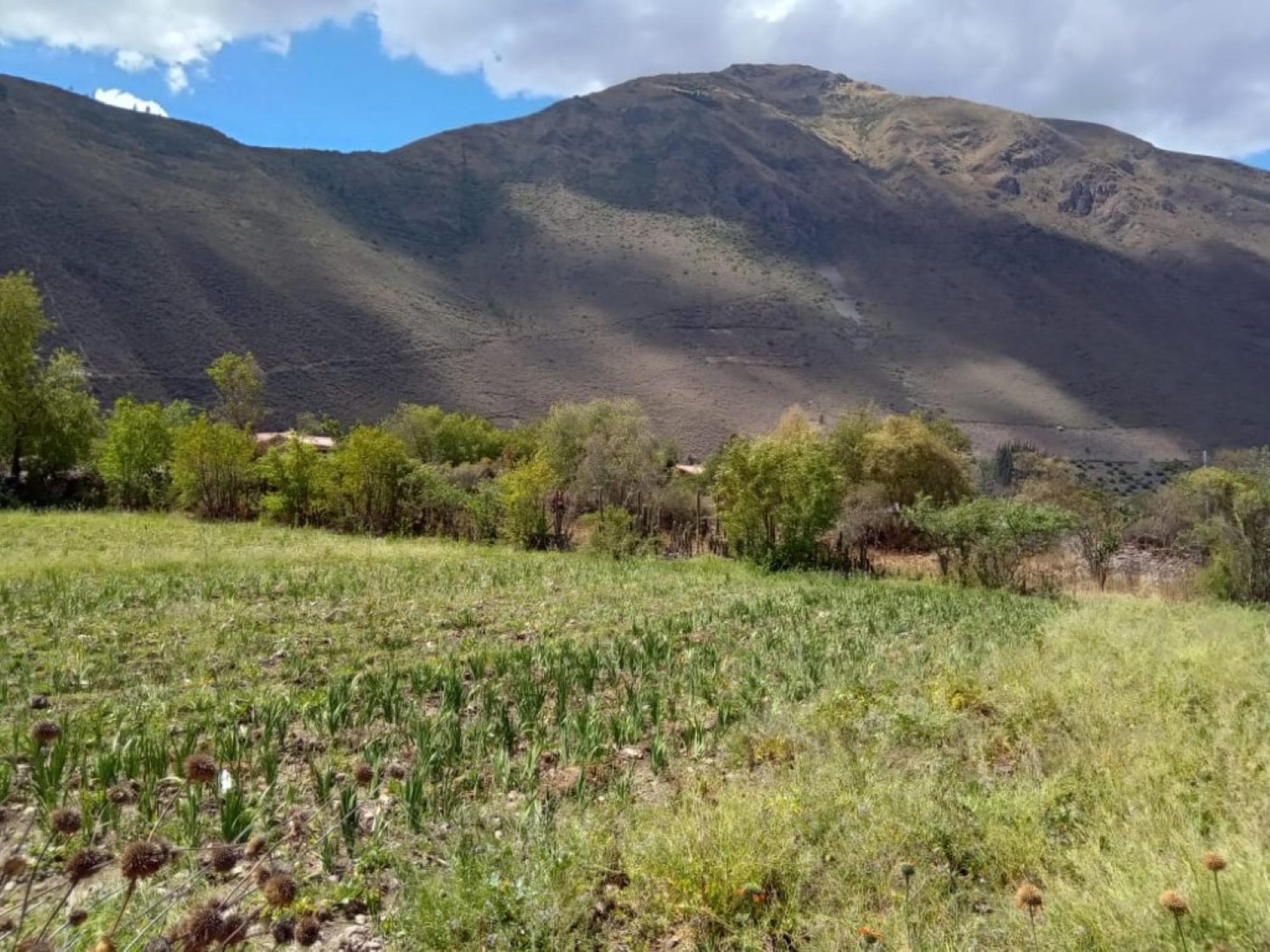 Picture of Mixed-Use Land For Sale in Cusco, Cusco, Peru
