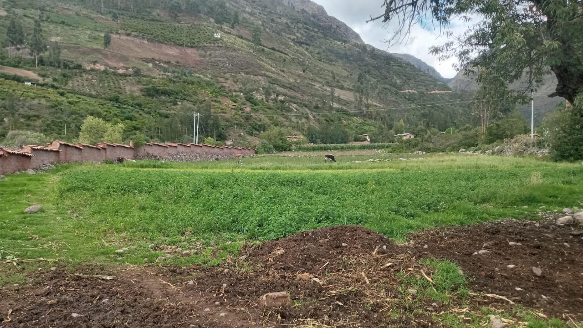 Picture of Mixed-Use Land For Sale in Cusco, Cusco, Peru