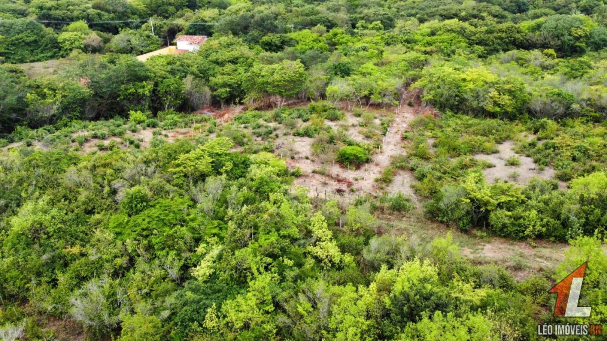 Picture of Commercial Lots For Sale in Tibau Do Sul, Rio Grande do Norte, Brazil