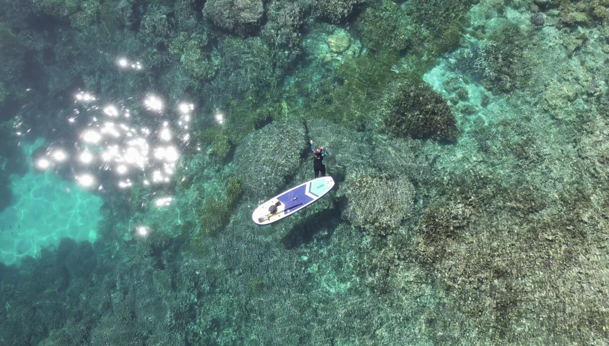 Picture of Commercial Land For Sale in Tanjungpinang, Riau, Indonesia