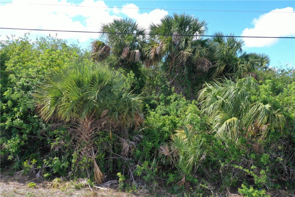 Picture of Raw Land For Sale in Palm Bay, Florida, United States