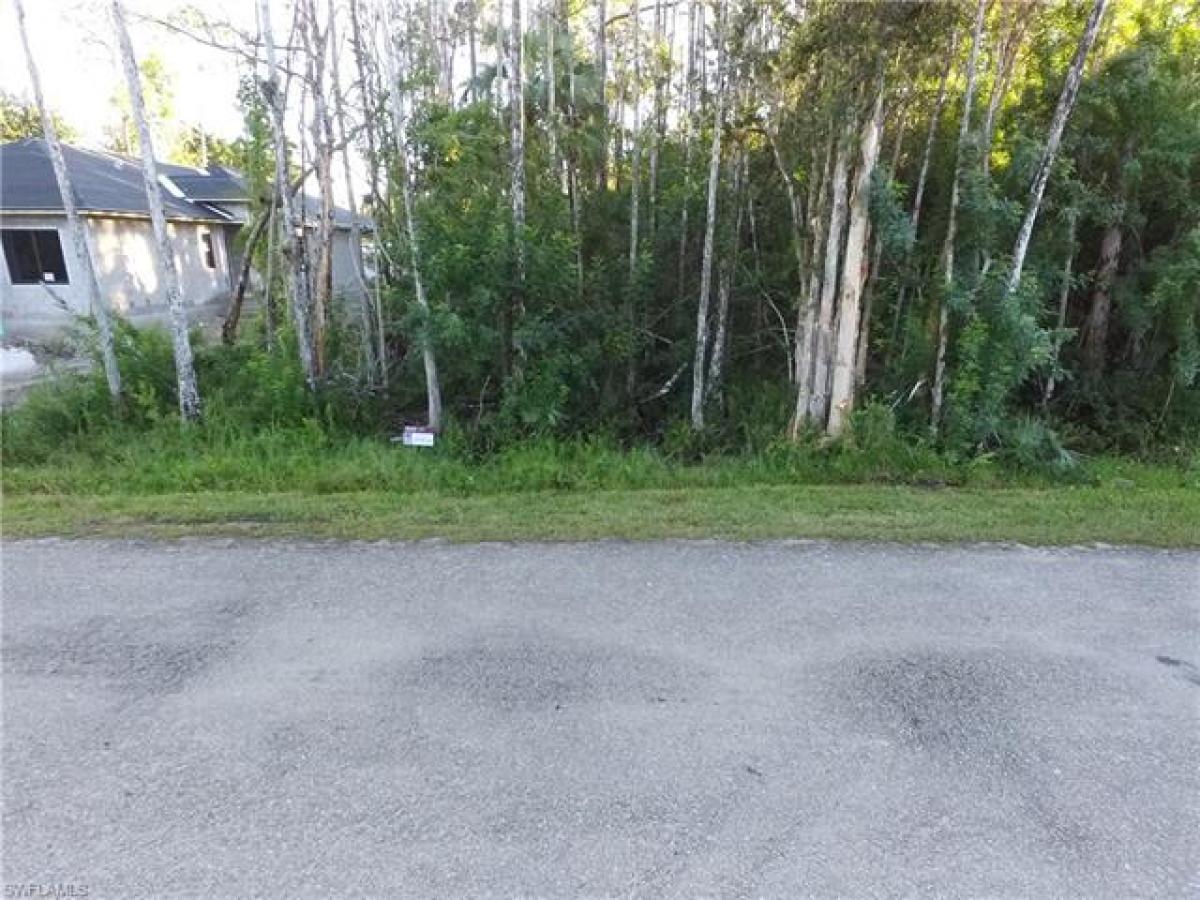 Picture of Raw Land For Sale in Naples, Florida, United States
