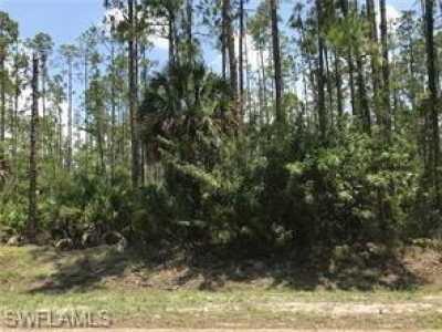 Raw Land For Sale in Naples, Florida
