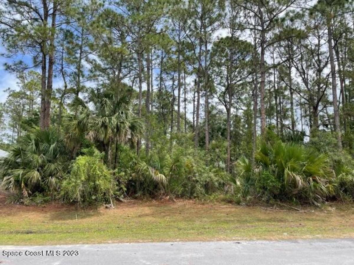 Picture of Raw Land For Sale in Palm Bay, Florida, United States