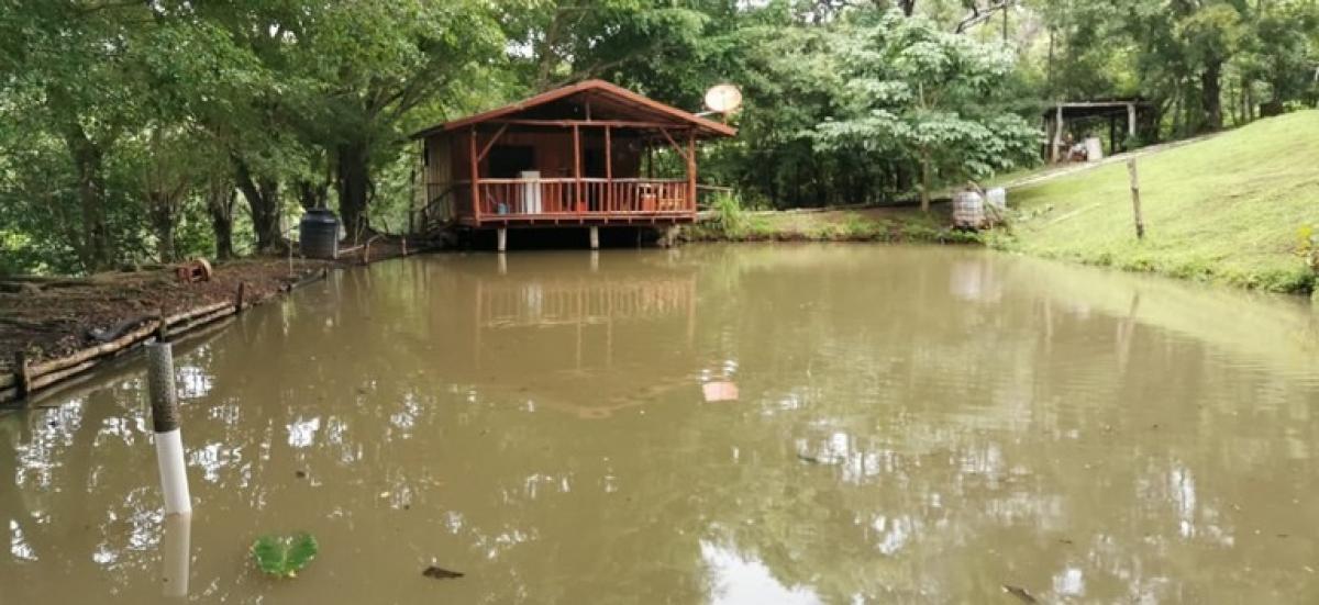 Picture of Residential Land For Sale in Hojancha, Guanacaste, Costa Rica