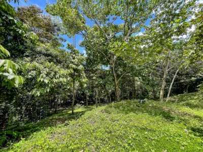 Residential Land For Sale in Aguirre, Costa Rica