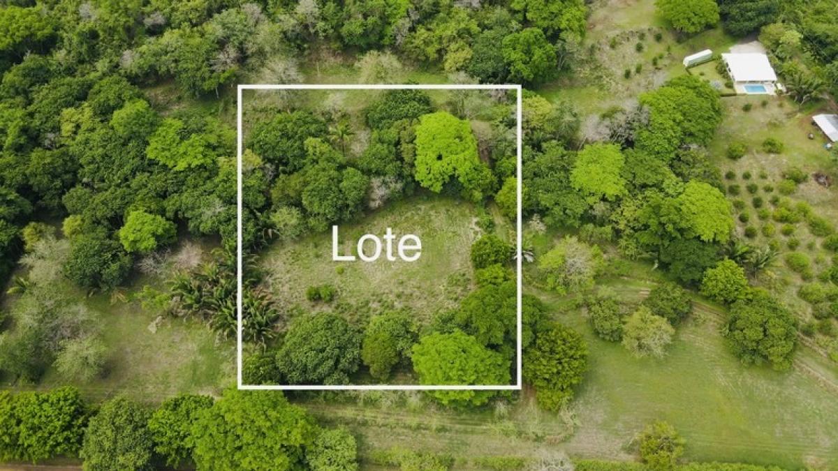 Picture of Residential Land For Sale in Nandayure, Guanacaste, Costa Rica
